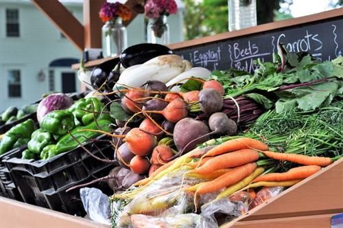 CISA:The Hub of Local Food Bike